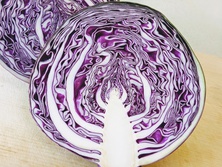 赤キャベツ（あかキャベツ）・Red cabbage