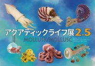 アクアティックライフ展2.5 mollusk/mollusc