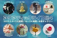 アクアティックライフ展4