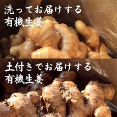 刈谷農園の有機生姜
