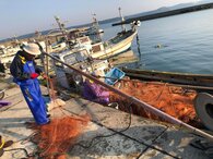 〈石川県〉魚道を極める「刺し網はずし＆とれたて魚でお昼ごはん調理体験」