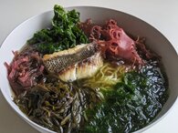 「海藻ラーメン」限定販売します！（藻場亭 -もばてい- ）