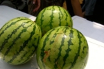 s_-40.jpg