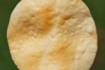 s_-21.jpg