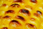 s_-55.jpg