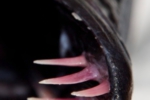 s_-21.jpg