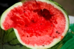 s_-103.jpg
