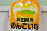 s_-102.jpg
