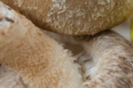 s_-10.jpg