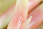 s_-106.jpg