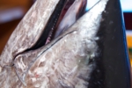09.jpg