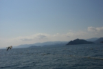 050.jpg