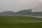 116.jpg