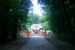145.jpg