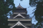 167.jpg