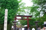 169.jpg