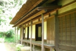 178.jpg
