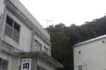100.jpg