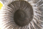 107.jpg