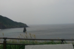115.jpg