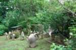 157.jpg