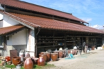 123.jpg