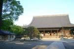 140.jpg