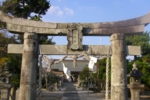 154.jpg
