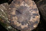 138.jpg