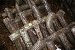 141.jpg