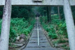118.jpg