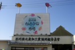 120.jpg