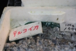 144.jpg