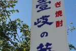 170.jpg