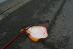 127.jpg