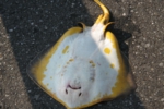 002.JPG