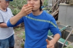 142.jpg