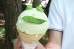 005.jpg
