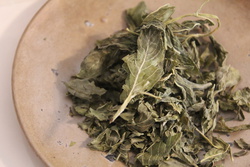 にほんはっか・ニホンハッカ・日本薄荷