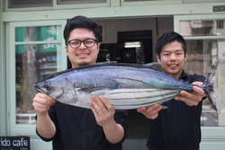かつお・カツオ・鰹・Katsuwonus pelamis