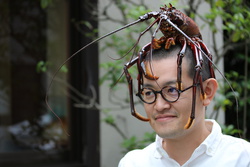 いせえび・イセエビ・伊勢海老・Panulirus japonicus