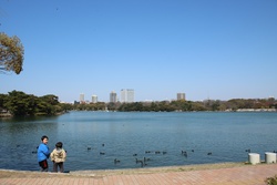 大濠公園（おおほりこうえん・オオホリコウエン・Ohori Park）