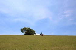 どんぐり村　
