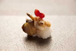 さがみばい・サガミバイ・相模蛽
