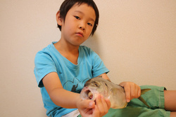 子供と楽しくするには?