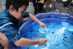 金魚すくい