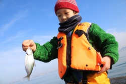 コハダ釣ったょ。