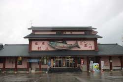 イヨボヤ会館・Salmon Museum