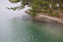 天橋立（あまのはしだて）・Amanohashidate