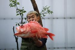 えびすだい・エビスダイ・恵比須鯛・Ostichthys japonicus